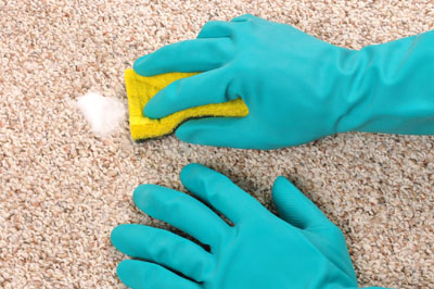 Carpet Cleaning Spot Treatment